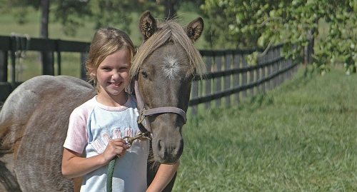 Her Heart Horse!