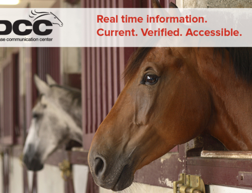 EDCC Update: COVID-19 and Horses