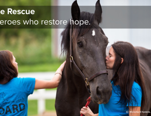Rescue is for Life. So is a Microchip.
