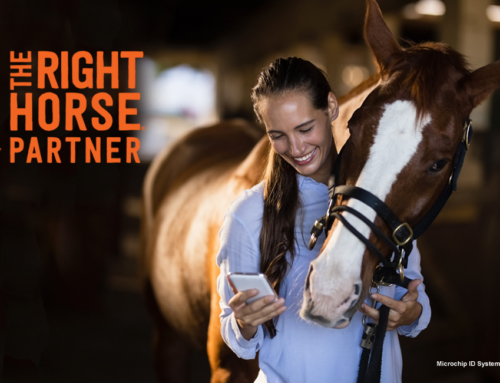 The Right Horse: Good People for Good Horses® 